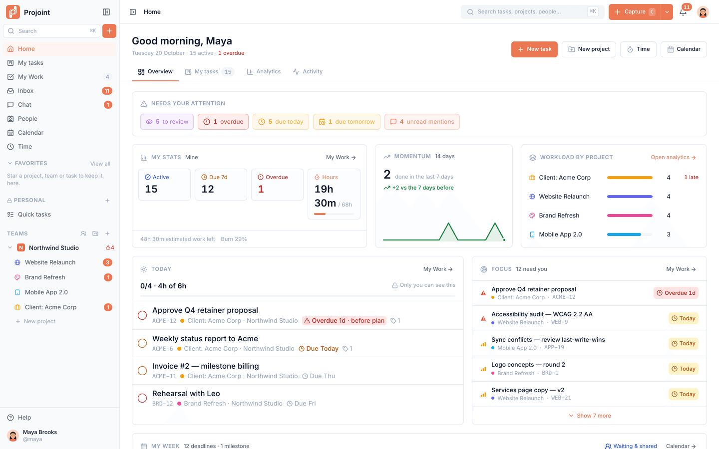 Home overview: what needs attention, personal stats, momentum, workload by project and focus list.