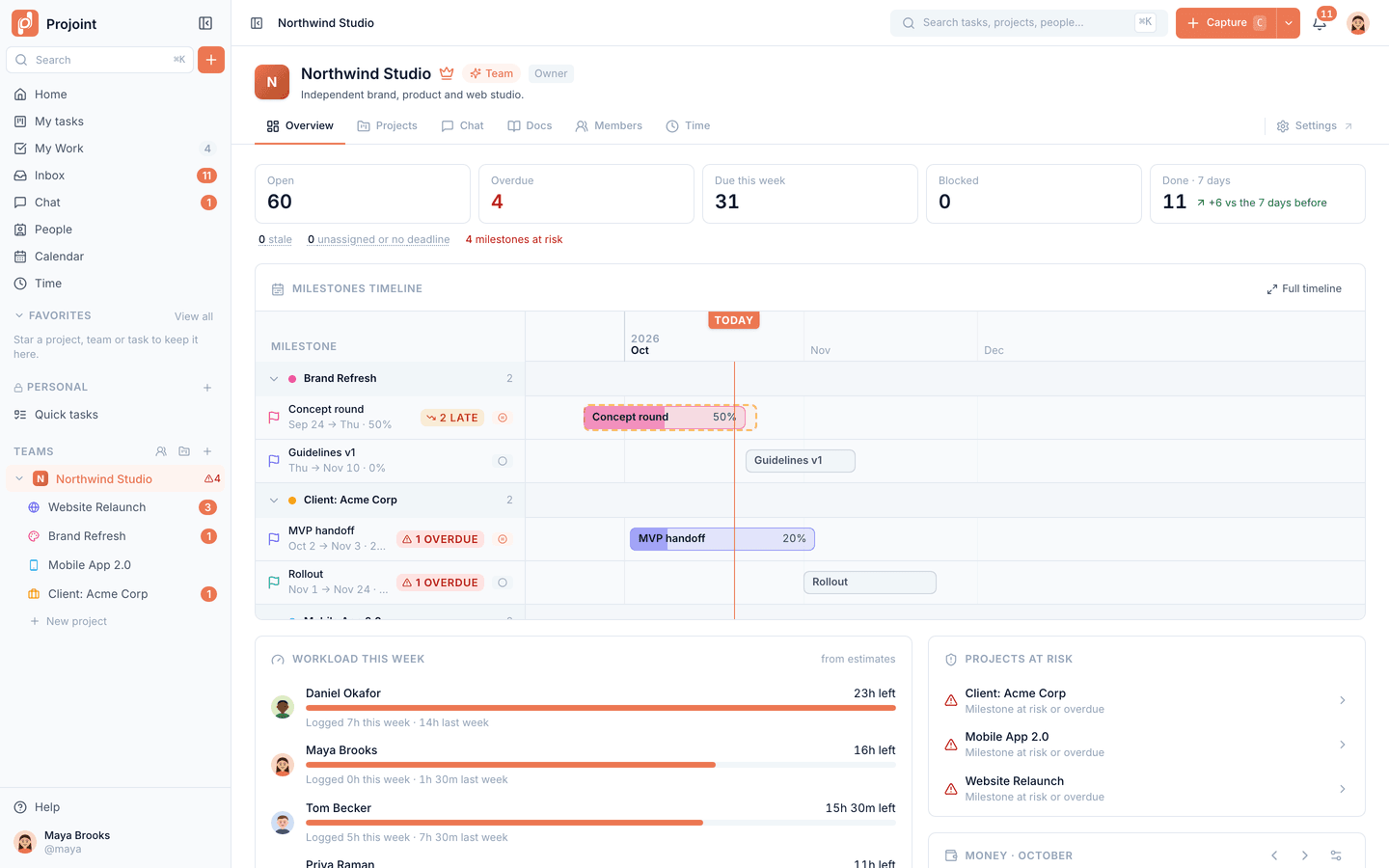 Team overview: health tiles, milestones timeline, workload and projects at risk.
